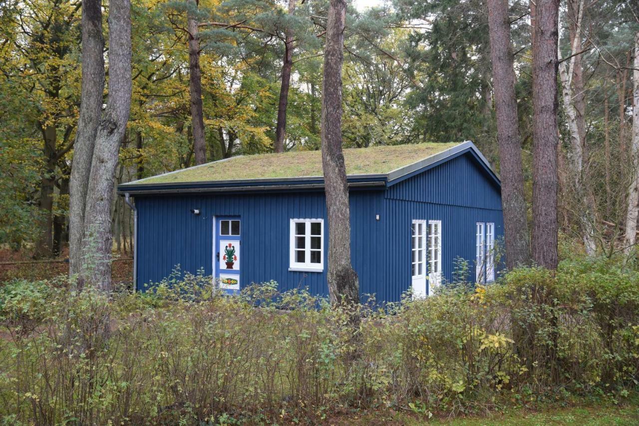 Chalet Zingst Exterior foto